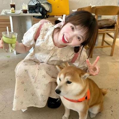 冰狗任务